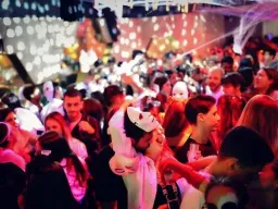 Citation Thème: Citations Folie