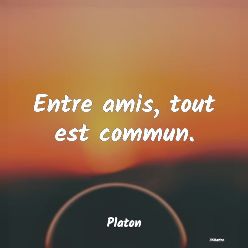 image de citation: Entre amis, tout est commun.