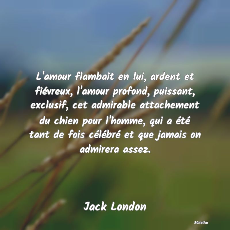 Belle Citation - L'amour flambait en lui, ardent et fiévreux, l'amour profond, puissant, exclusif, cet admirable attachement du chien pour l'homme, qui a été tant de fois célébré et que jamais on admirera assez. - Jack London