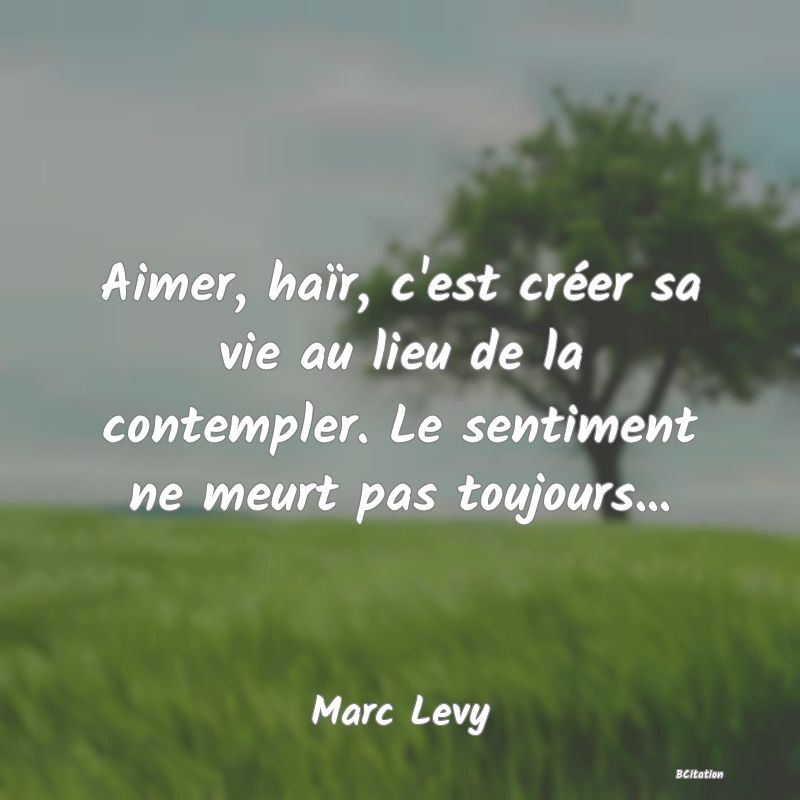 image de citation: Aimer, haïr, c'est créer sa vie au lieu de la contempler. Le sentiment ne meurt pas toujours...