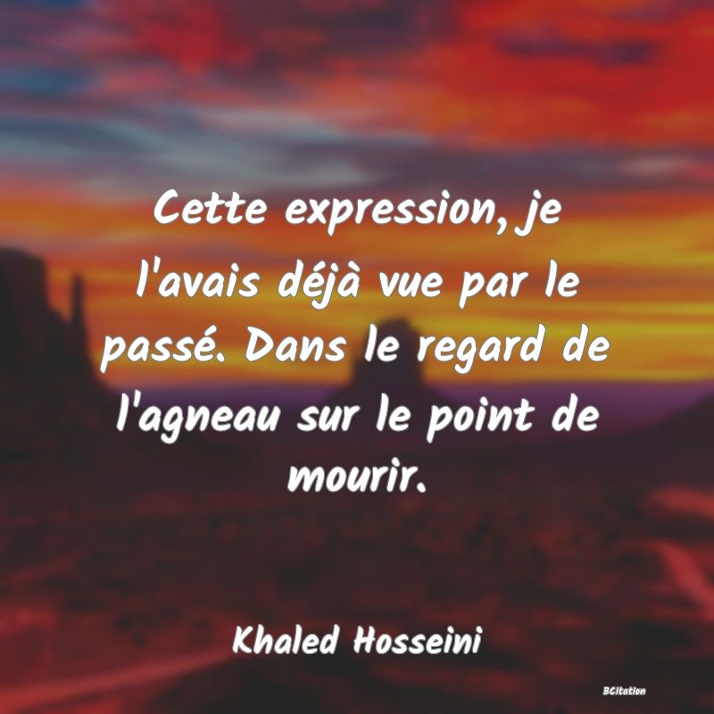 image de citation: Cette expression, je l'avais déjà vue par le passé. Dans le regard de l'agneau sur le point de mourir.