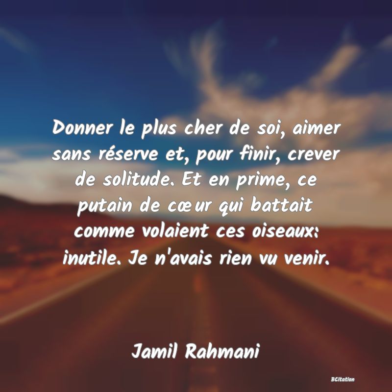 image de citation: Donner le plus cher de soi, aimer sans réserve et, pour finir, crever de solitude. Et en prime, ce putain de cœur qui battait comme volaient ces oiseaux: inutile. Je n'avais rien vu venir.