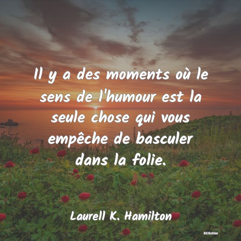 image de citation: Il y a des moments où le sens de l'humour est la seule chose qui vous empêche de basculer dans la folie.