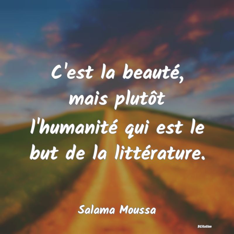 image de citation: C'est la beauté, mais plutôt l'humanité qui est le but de la littérature.