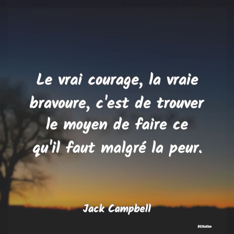 image de citation: Le vrai courage, la vraie bravoure, c'est de trouver le moyen de faire ce qu'il faut malgré la peur.