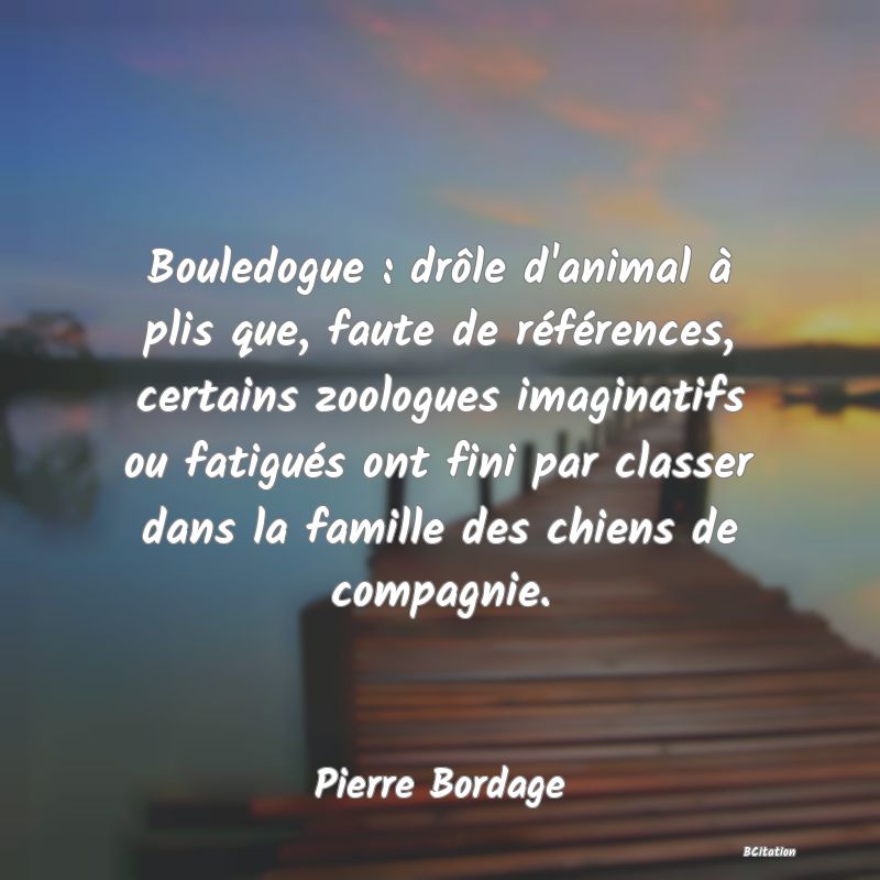 Belle Citation - Bouledogue : drôle d'animal à plis que, faute de références, certains zoologues imaginatifs ou fatigués ont fini par classer dans la famille des chiens de compagnie. - Pierre Bordage