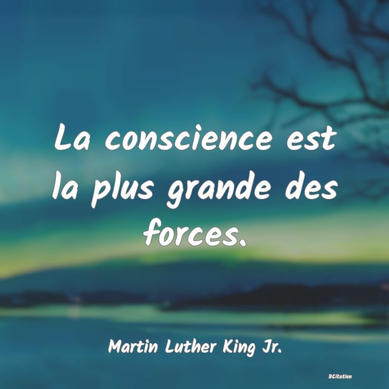 image de citation: La conscience est la plus grande des forces.