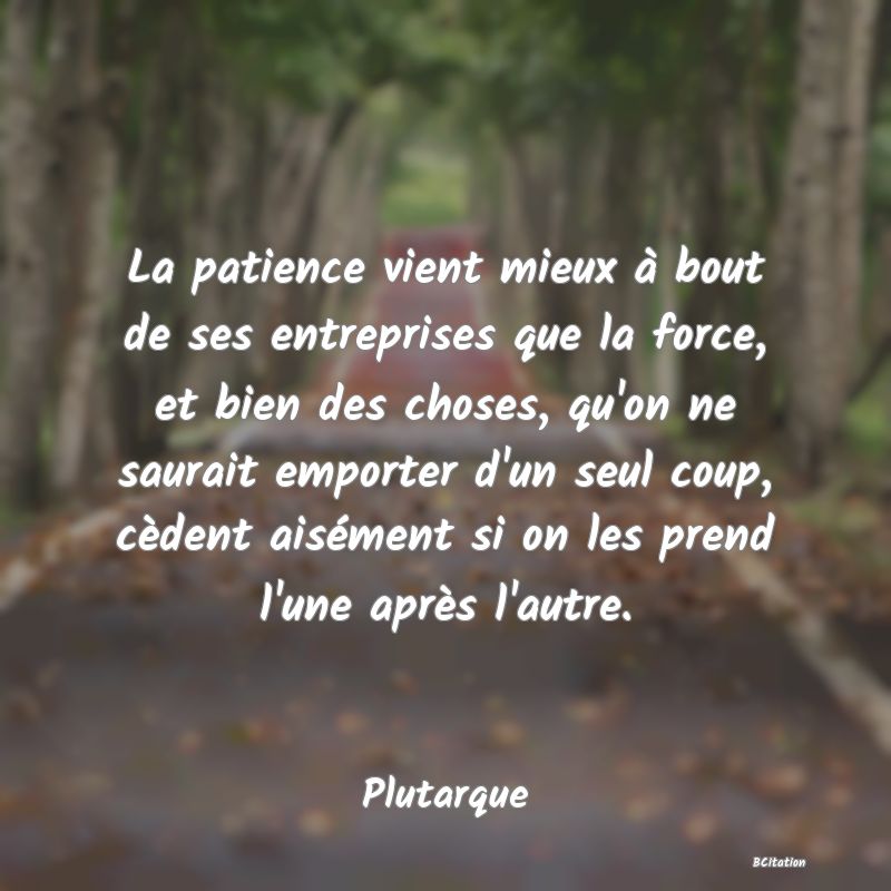 image de citation: La patience vient mieux à bout de ses entreprises que la force, et bien des choses, qu'on ne saurait emporter d'un seul coup, cèdent aisément si on les prend l'une après l'autre.