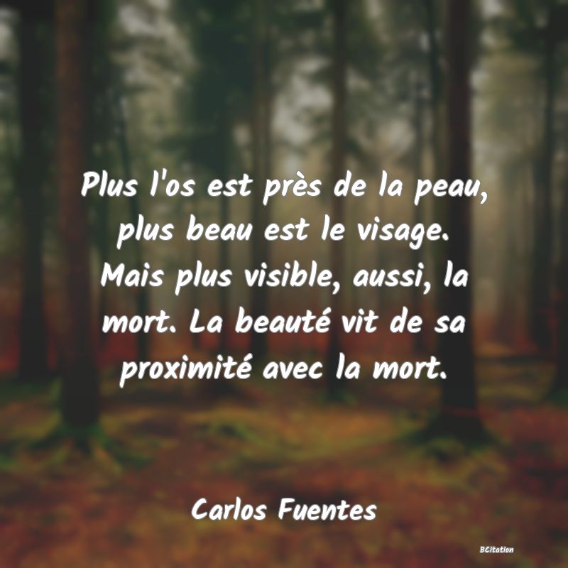 image de citation: Plus l'os est près de la peau, plus beau est le visage. Mais plus visible, aussi, la mort. La beauté vit de sa proximité avec la mort.