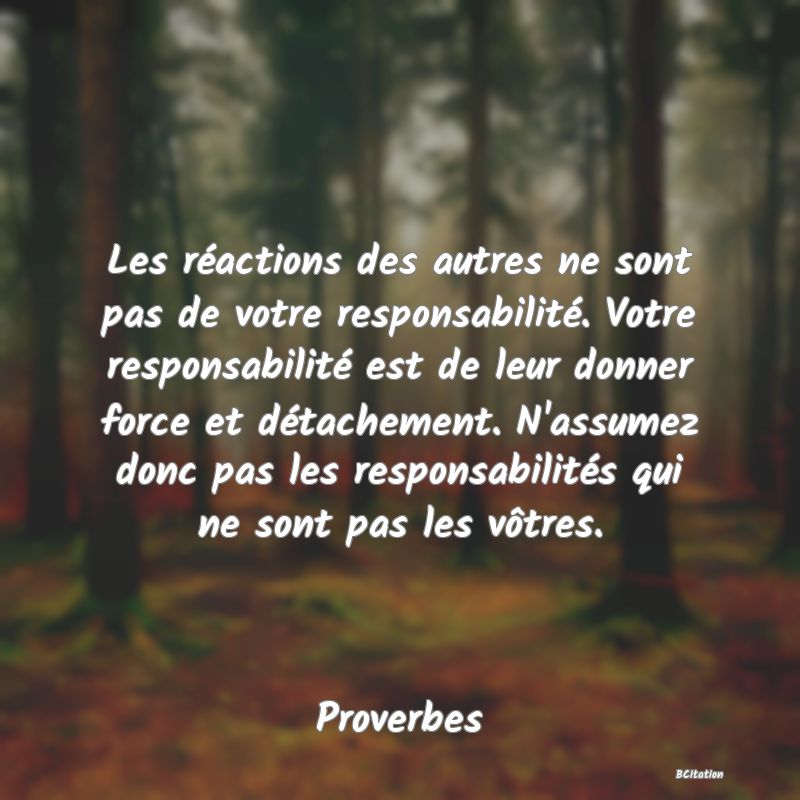 Belle Citation - Les réactions des autres ne sont pas de votre responsabilité. Votre responsabilité est de leur donner force et détachement. N'assumez donc pas les responsabilités qui ne sont pas les vôtres. - Proverbes