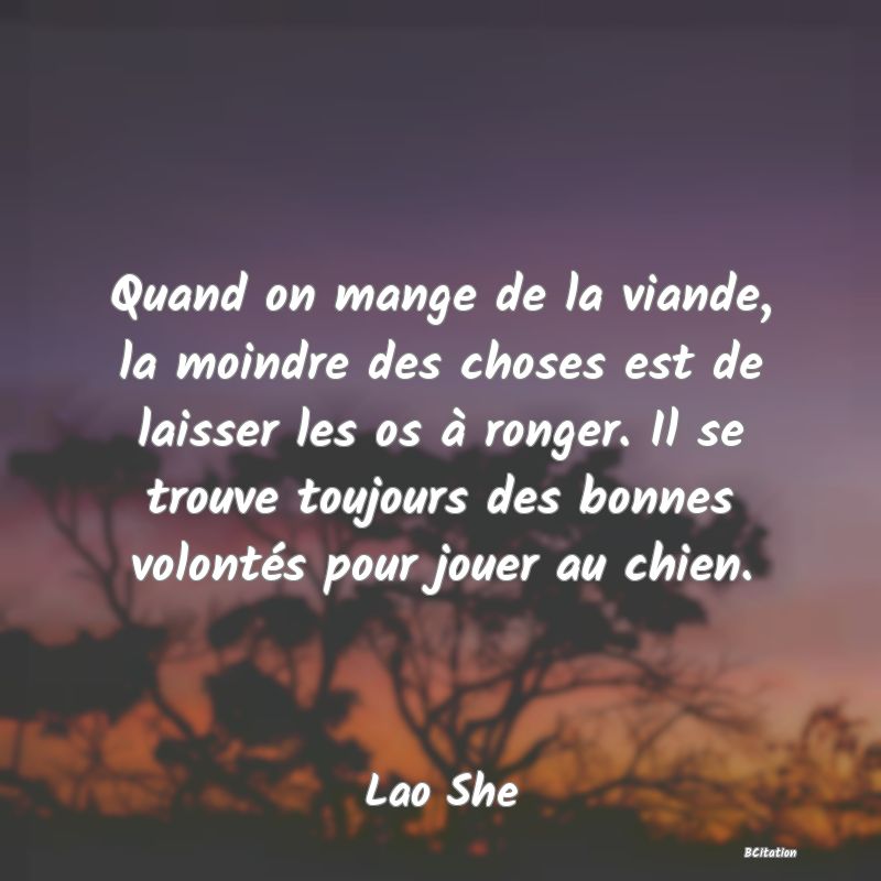 image de citation: Quand on mange de la viande, la moindre des choses est de laisser les os à ronger. Il se trouve toujours des bonnes volontés pour jouer au chien.