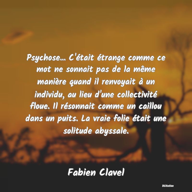 image de citation: Psychose... C'était étrange comme ce mot ne sonnait pas de la même manière quand il renvoyait à un individu, au lieu d'une collectivité floue. Il résonnait comme un caillou dans un puits. La vraie folie était une solitude abyssale.