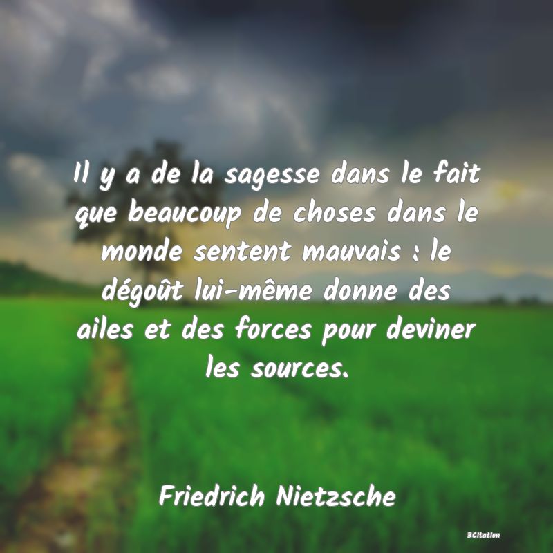 image de citation: Il y a de la sagesse dans le fait que beaucoup de choses dans le monde sentent mauvais : le dégoût lui-même donne des ailes et des forces pour deviner les sources.