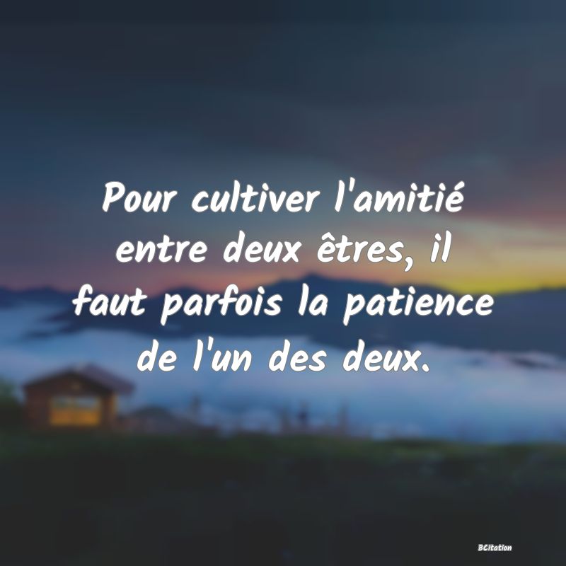 Belle Citation - Pour cultiver l'amitié entre deux êtres, il faut parfois la patience de l'un des deux. - 
