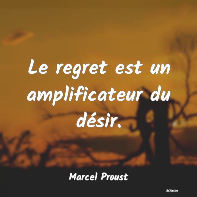 image de citation: Le regret est un amplificateur du désir.