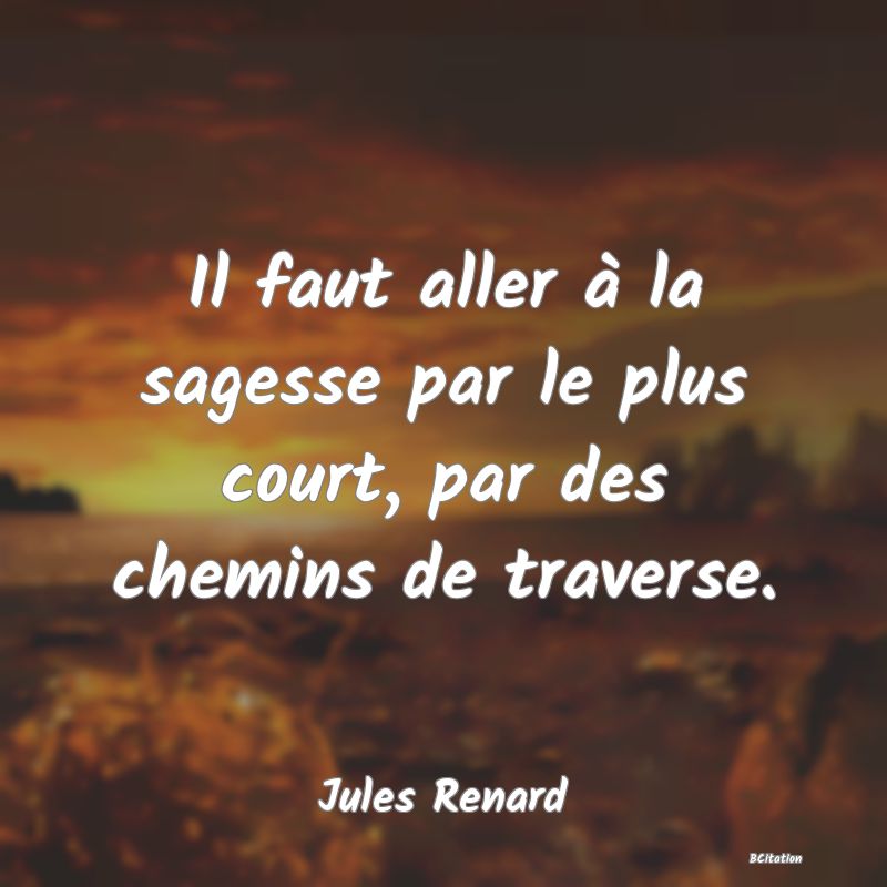 image de citation: Il faut aller à la sagesse par le plus court, par des chemins de traverse.