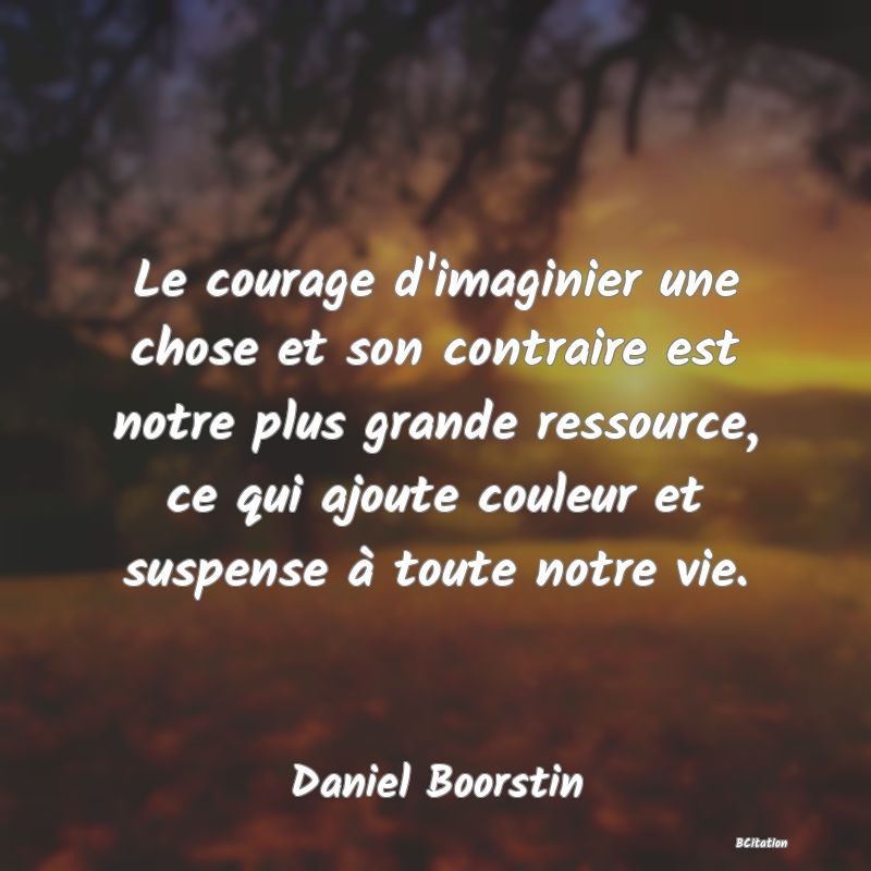 image de citation: Le courage d'imaginier une chose et son contraire est notre plus grande ressource, ce qui ajoute couleur et suspense à toute notre vie.