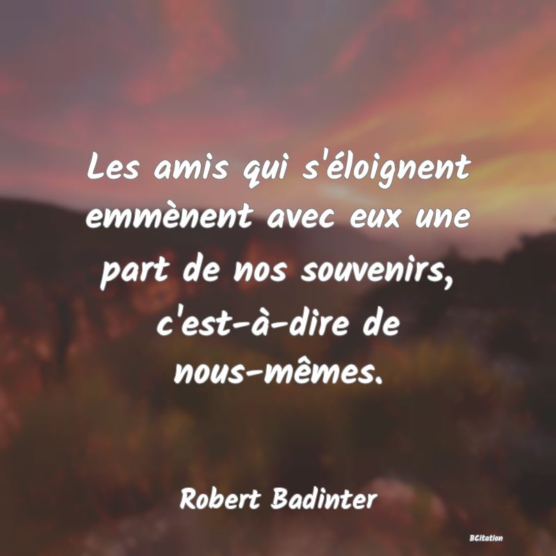 image de citation: Les amis qui s'éloignent emmènent avec eux une part de nos souvenirs, c'est-à-dire de nous-mêmes.