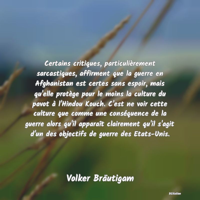 image de citation: Certains critiques, particulièrement sarcastiques, affirment que la guerre en Afghanistan est certes sans espoir, mais qu'elle protège pour le moins la culture du pavot à l'Hindou Kouch. C'est ne voir cette culture que comme une conséquence de la guerre alors qu'il apparaît clairement qu'il s'agit d'un des objectifs de guerre des Etats-Unis.