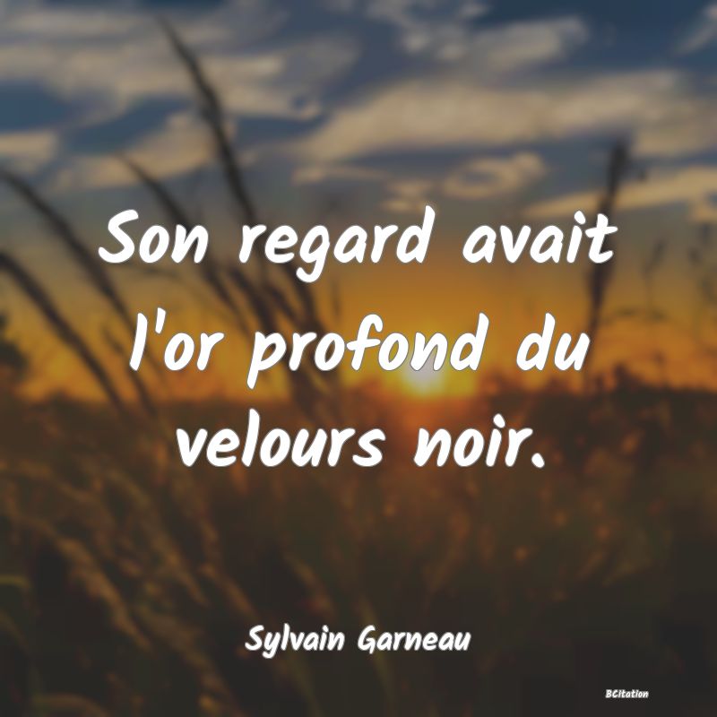 image de citation: Son regard avait l'or profond du velours noir.