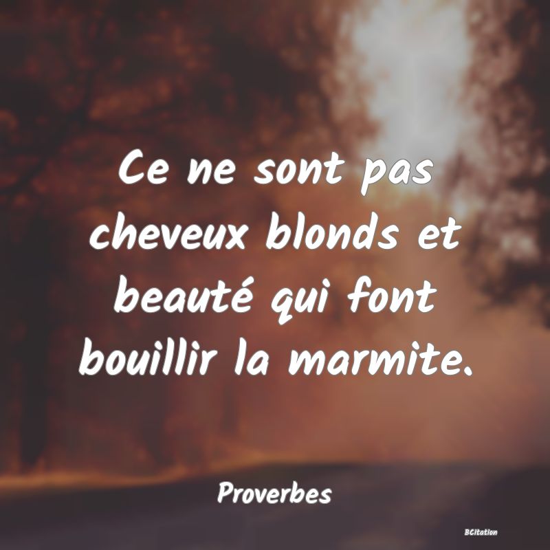 Belle Citation - Ce ne sont pas cheveux blonds et beauté qui font bouillir la marmite. - Proverbes