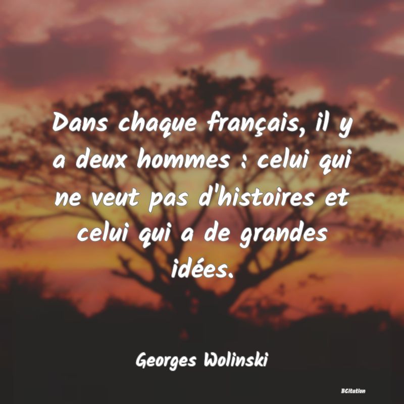 Belle Citation - Dans chaque français, il y a deux hommes : celui qui ne veut pas d'histoires et celui qui a de grandes idées. - Georges Wolinski