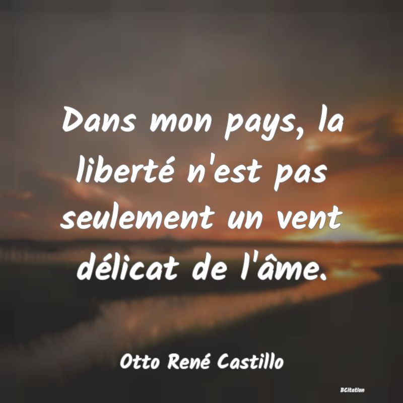 image de citation: Dans mon pays, la liberté n'est pas seulement un vent délicat de l'âme.