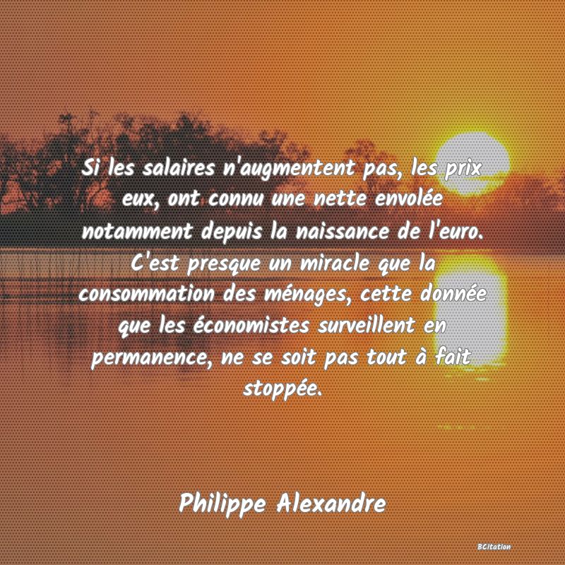 image de citation: Si les salaires n'augmentent pas, les prix eux, ont connu une nette envolée notamment depuis la naissance de l'euro. C'est presque un miracle que la consommation des ménages, cette donnée que les économistes surveillent en permanence, ne se soit pas tout à fait stoppée.