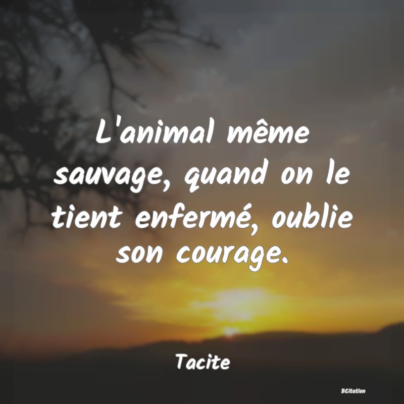 image de citation: L'animal même sauvage, quand on le tient enfermé, oublie son courage.