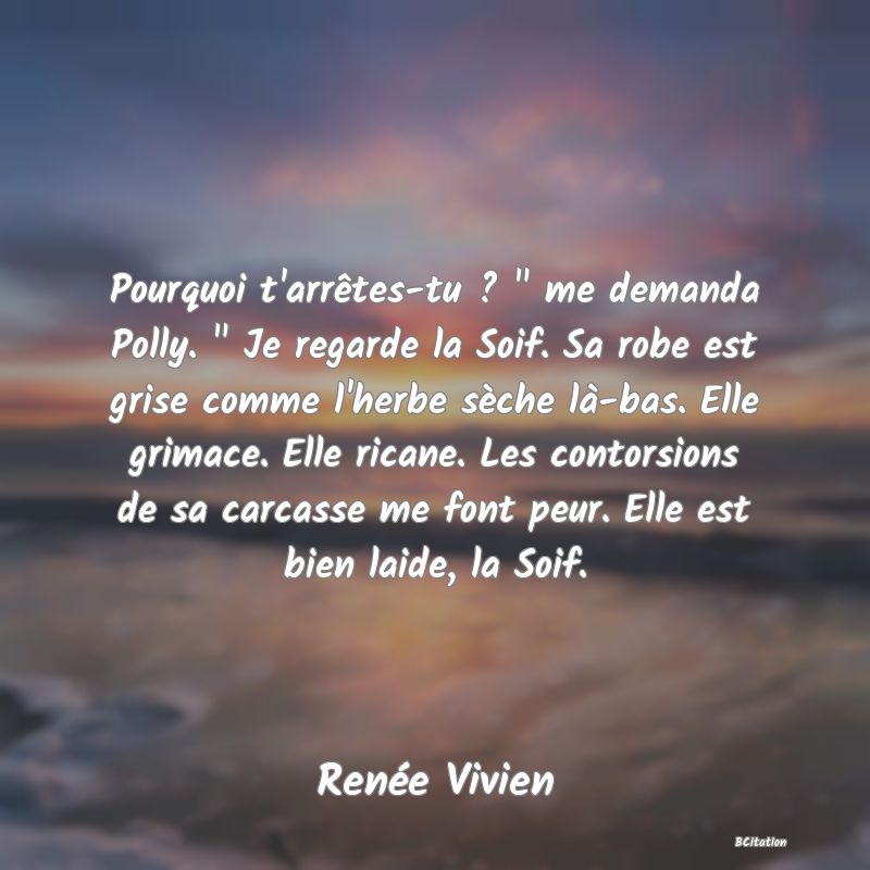 image de citation: Pourquoi t'arrêtes-tu ?   me demanda Polly.   Je regarde la Soif. Sa robe est grise comme l'herbe sèche là-bas. Elle grimace. Elle ricane. Les contorsions de sa carcasse me font peur. Elle est bien laide, la Soif.