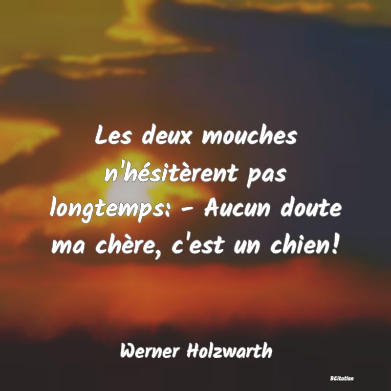 image de citation: Les deux mouches n'hésitèrent pas longtemps: - Aucun doute ma chère, c'est un chien!