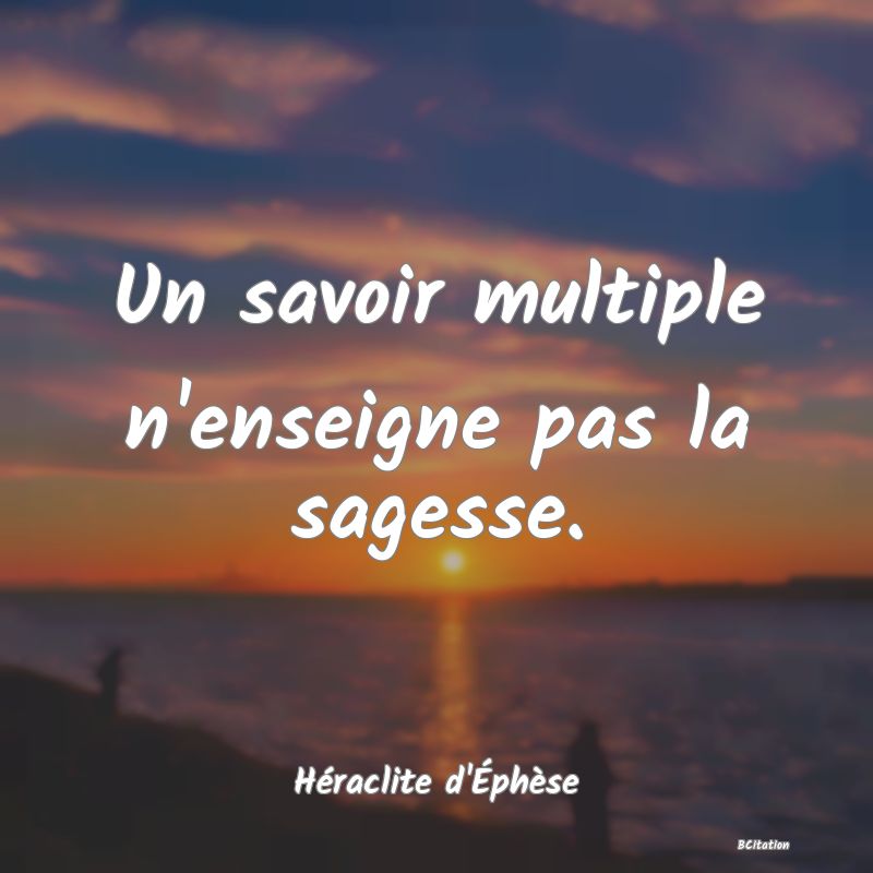 image de citation: Un savoir multiple n'enseigne pas la sagesse.