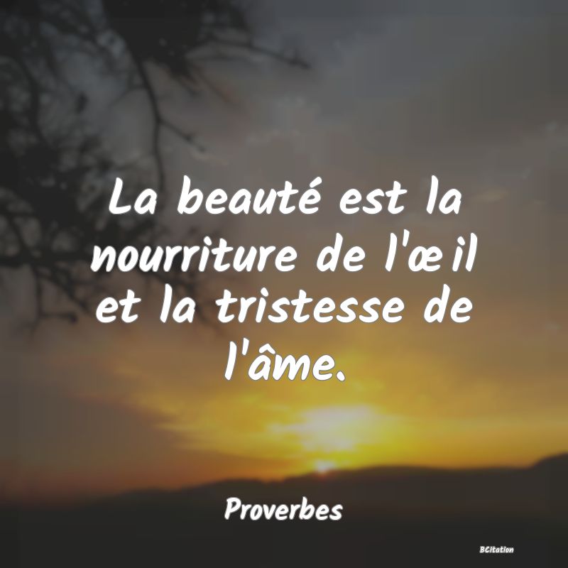 image de citation: La beauté est la nourriture de l'œil et la tristesse de l'âme.