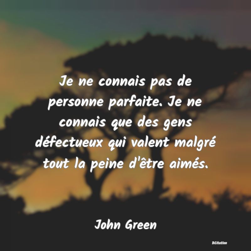 image de citation: Je ne connais pas de personne parfaite. Je ne connais que des gens défectueux qui valent malgré tout la peine d'être aimés.