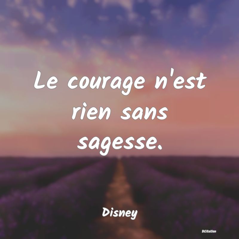 image de citation: Le courage n'est rien sans sagesse.