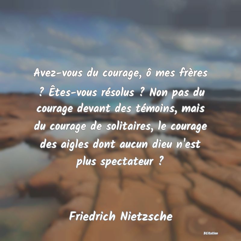 image de citation: Avez-vous du courage, ô mes frères ? Êtes-vous résolus ? Non pas du courage devant des témoins, mais du courage de solitaires, le courage des aigles dont aucun dieu n'est plus spectateur ?