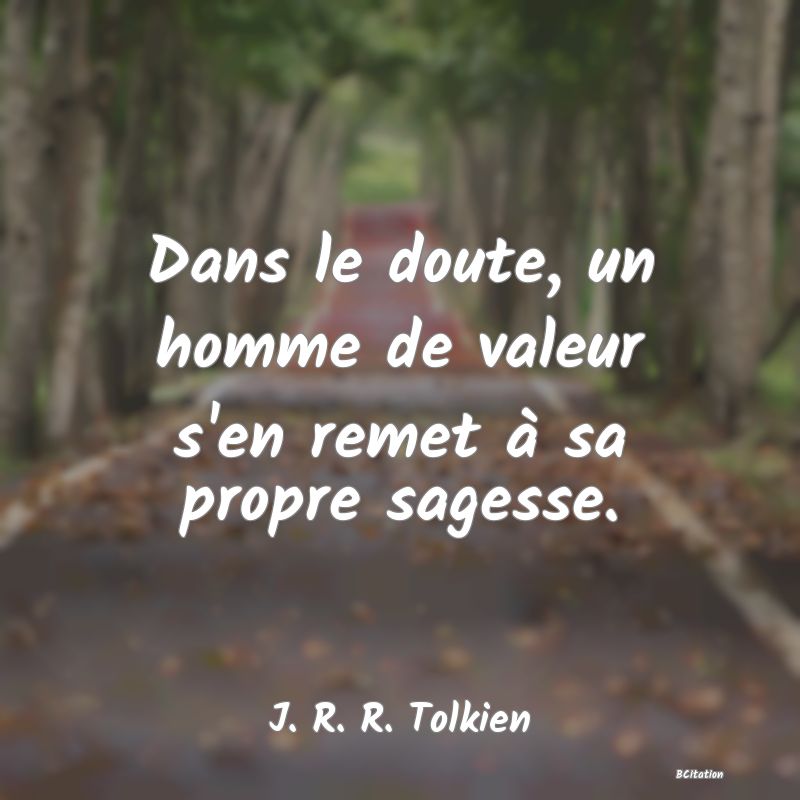 image de citation: Dans le doute, un homme de valeur s'en remet à sa propre sagesse.