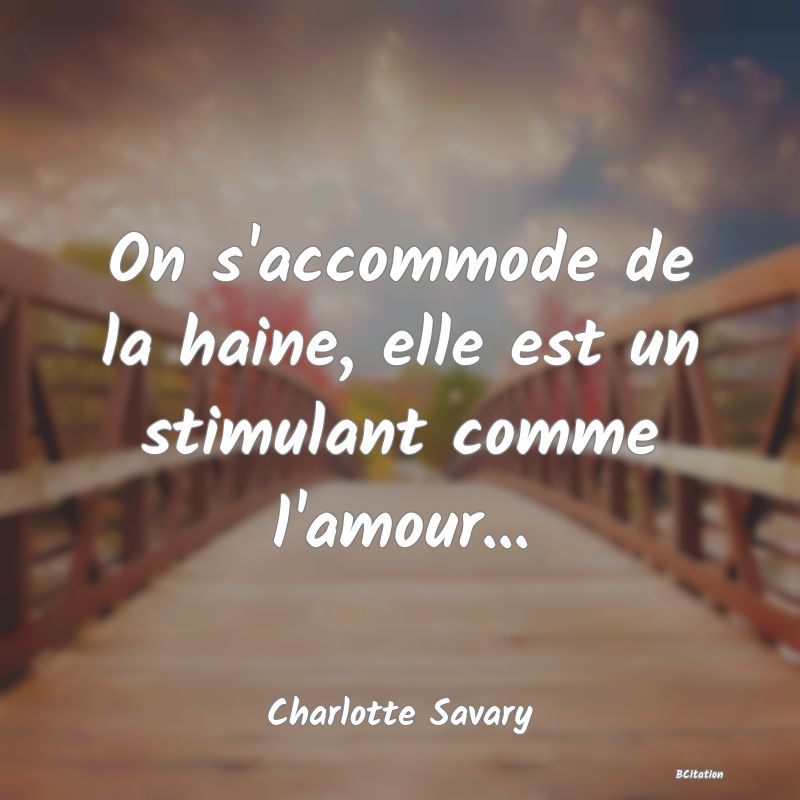 image de citation: On s'accommode de la haine, elle est un stimulant comme l'amour...