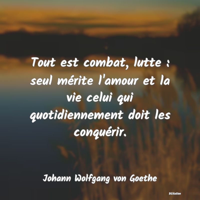 image de citation: Tout est combat, lutte : seul mérite l'amour et la vie celui qui quotidiennement doit les conquérir.