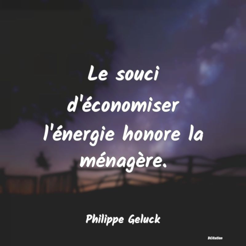 Belle Citation - Le souci d'économiser l'énergie honore la ménagère. - Philippe Geluck