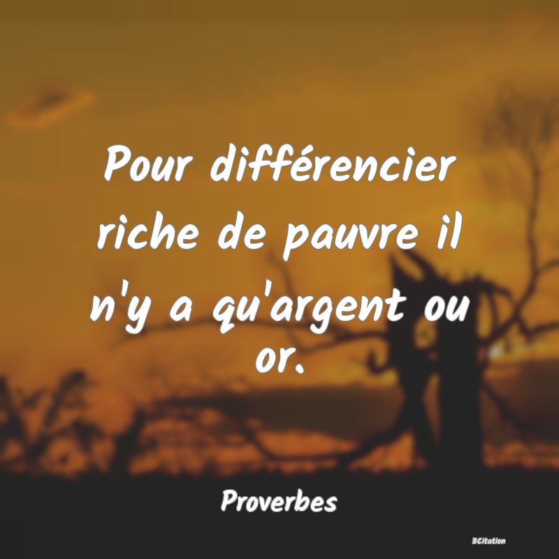 image de citation: Pour différencier riche de pauvre il n'y a qu'argent ou or.