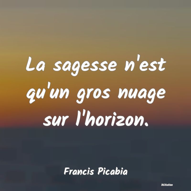 Belle Citation - La sagesse n'est qu'un gros nuage sur l'horizon. - Francis Picabia