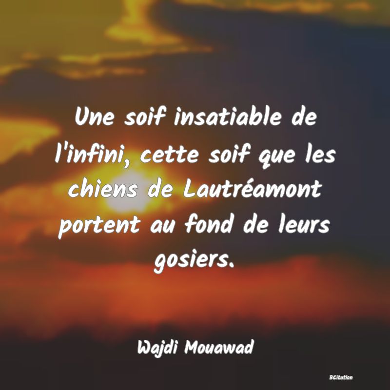 image de citation: Une soif insatiable de l'infini, cette soif que les chiens de Lautréamont portent au fond de leurs gosiers.