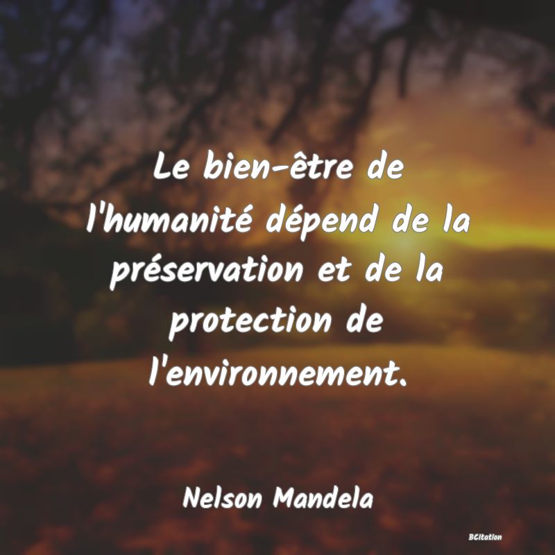 image de citation: Le bien-être de l'humanité dépend de la préservation et de la protection de l'environnement.