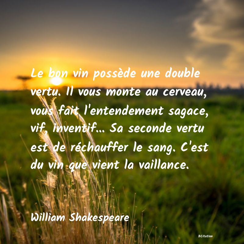 image de citation: Le bon vin possède une double vertu. Il vous monte au cerveau, vous fait l'entendement sagace, vif, inventif... Sa seconde vertu est de réchauffer le sang. C'est du vin que vient la vaillance.