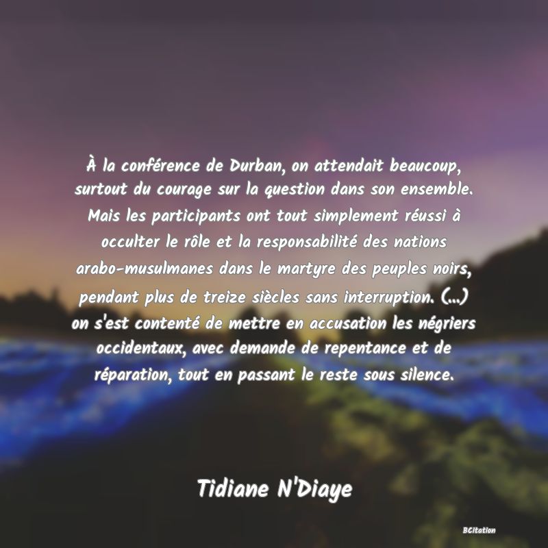 image de citation: À la conférence de Durban, on attendait beaucoup, surtout du courage sur la question dans son ensemble. Mais les participants ont tout simplement réussi à occulter le rôle et la responsabilité des nations arabo-musulmanes dans le martyre des peuples noirs, pendant plus de treize siècles sans interruption. (...) on s'est contenté de mettre en accusation les négriers occidentaux, avec demande de repentance et de réparation, tout en passant le reste sous silence.