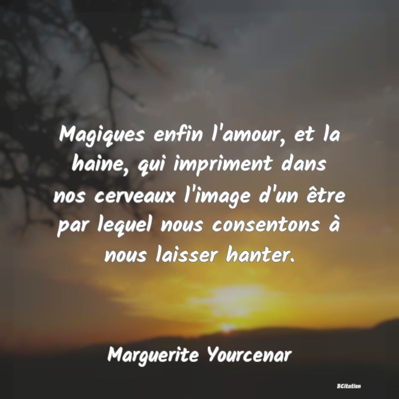 image de citation: Magiques enfin l'amour, et la haine, qui impriment dans nos cerveaux l'image d'un être par lequel nous consentons à nous laisser hanter.