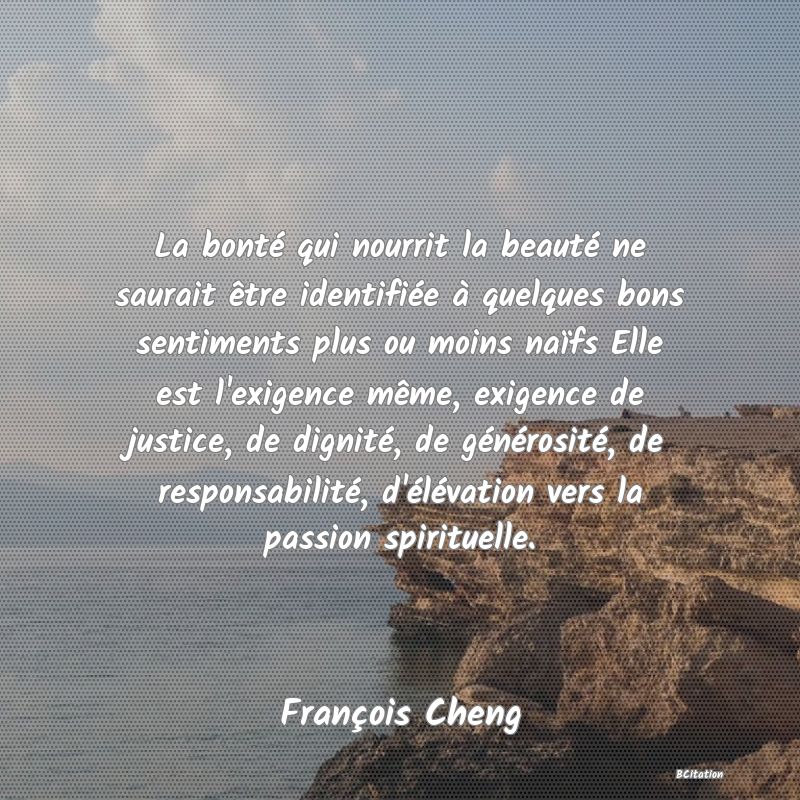 image de citation: La bonté qui nourrit la beauté ne saurait être identifiée à quelques bons sentiments plus ou moins naïfs Elle est l'exigence même, exigence de justice, de dignité, de générosité, de responsabilité, d'élévation vers la passion spirituelle.