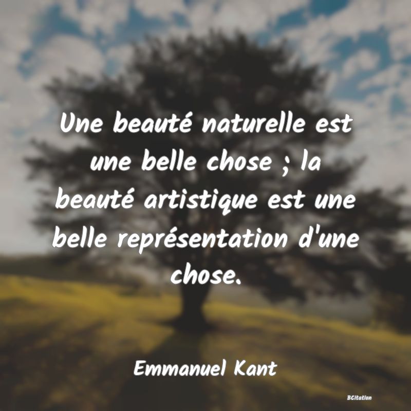 image de citation: Une beauté naturelle est une belle chose ; la beauté artistique est une belle représentation d'une chose.