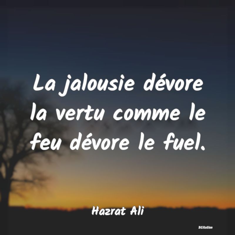 image de citation: La jalousie dévore la vertu comme le feu dévore le fuel.